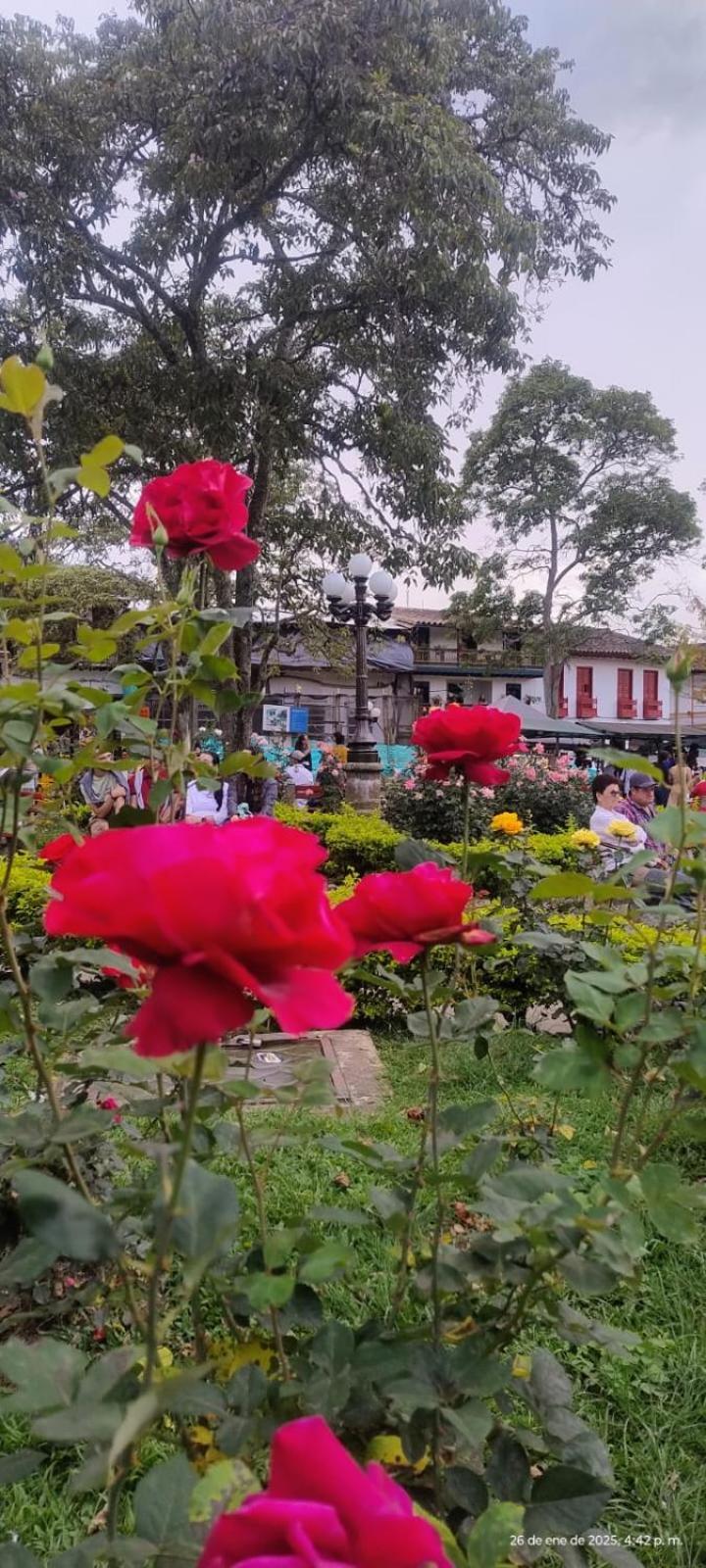 Europa Ecotours Hotel Jardin Bagian luar foto